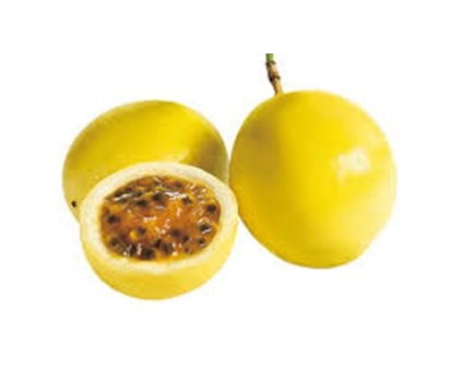 PARCHITA X KG