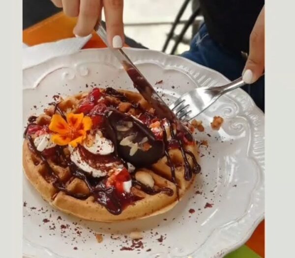 wafle bosco
